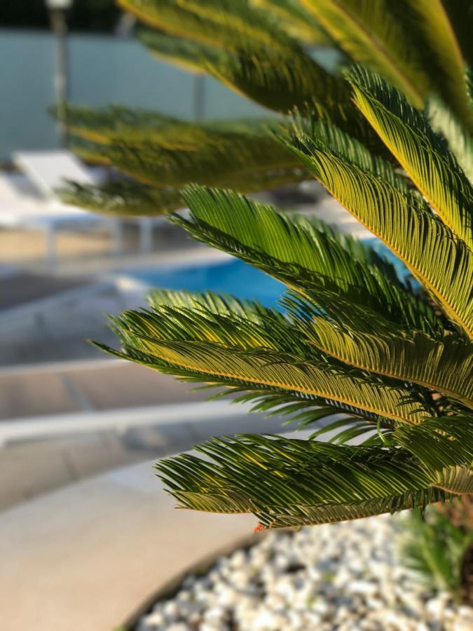 Path House - Etna & Sea View Aparthotel Riposto Luaran gambar