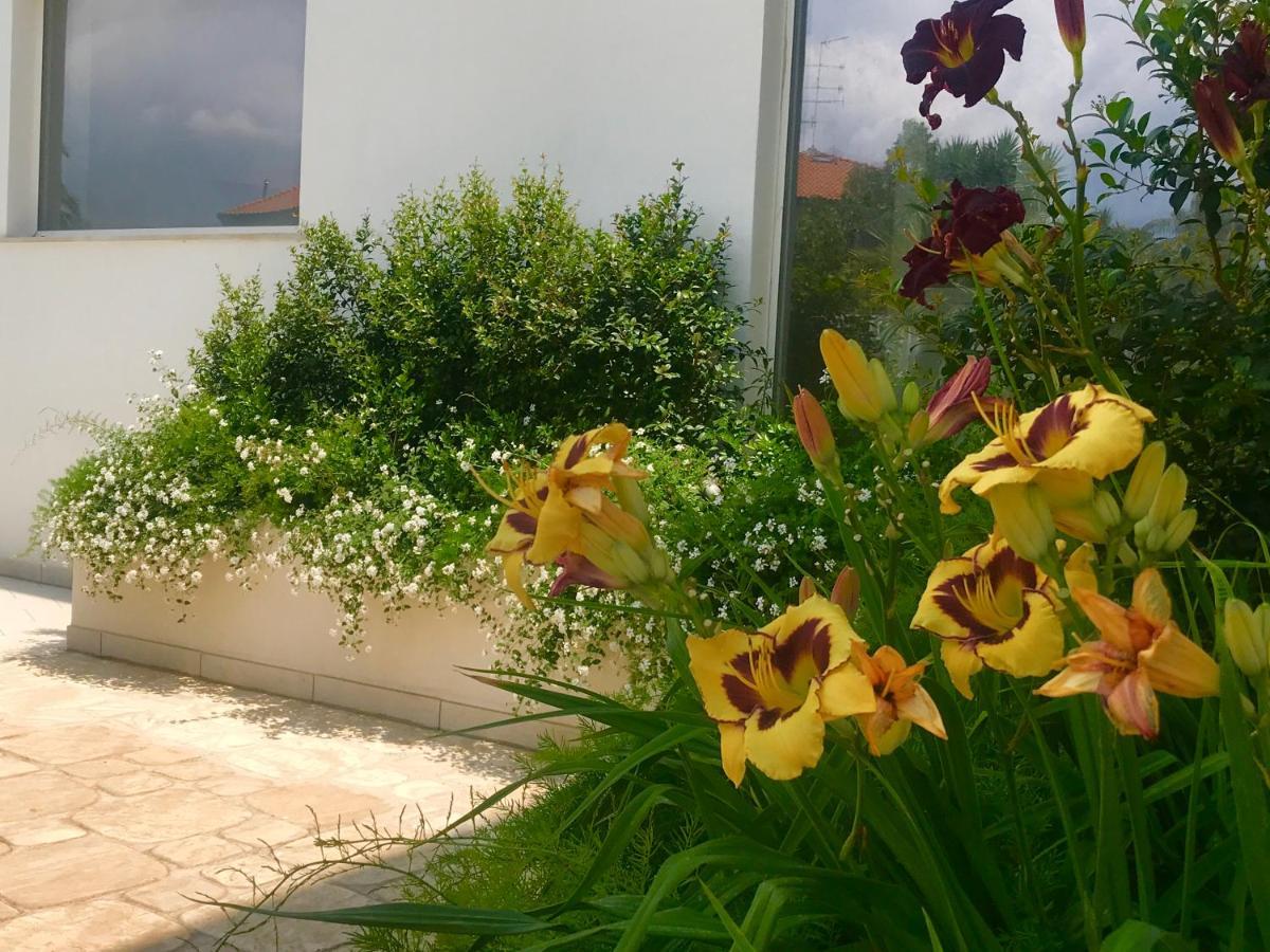 Path House - Etna & Sea View Aparthotel Riposto Luaran gambar